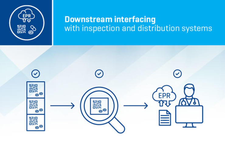Downstream interfacing with inspection and distribution systems